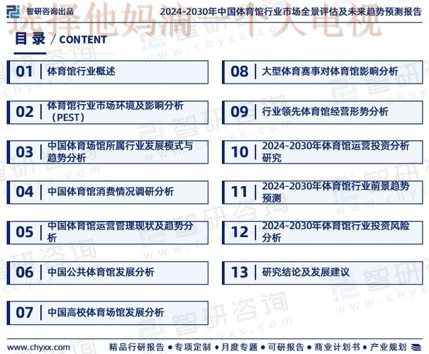 皇冠体育科技控股未来发展战略分析 皇冠体育科技控股未来发展战略分析